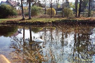 Rveries d'automne 