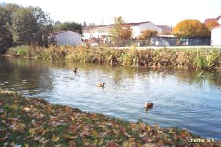 Rveries d'automne 